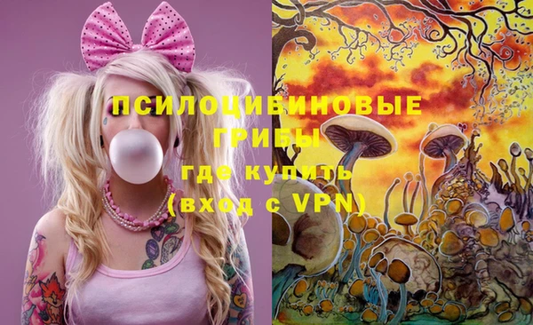 тгк Михайловск