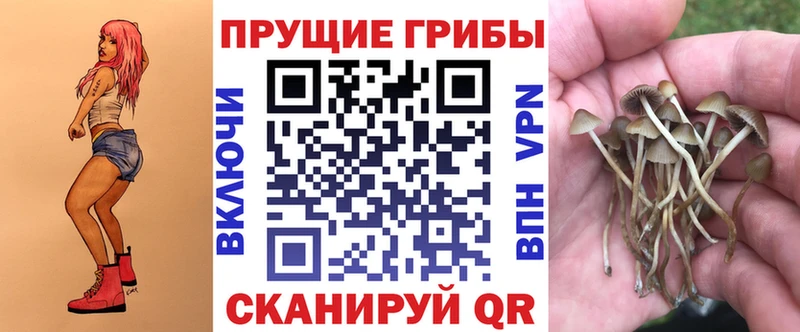 сайты даркнета формула  Куровское  Галлюциногенные грибы MAGIC MUSHROOMS  цена наркотик 