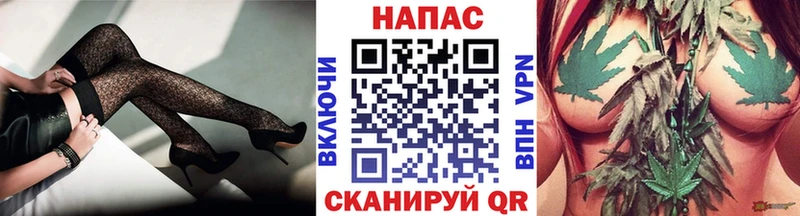 Конопля OG Kush  Куровское 